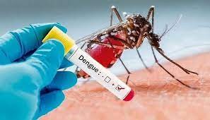 ডেঙ্গু রোগী গতবছরের চেয়ে ৫ গুণ
